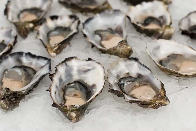 Oyster, a healthy winter food.